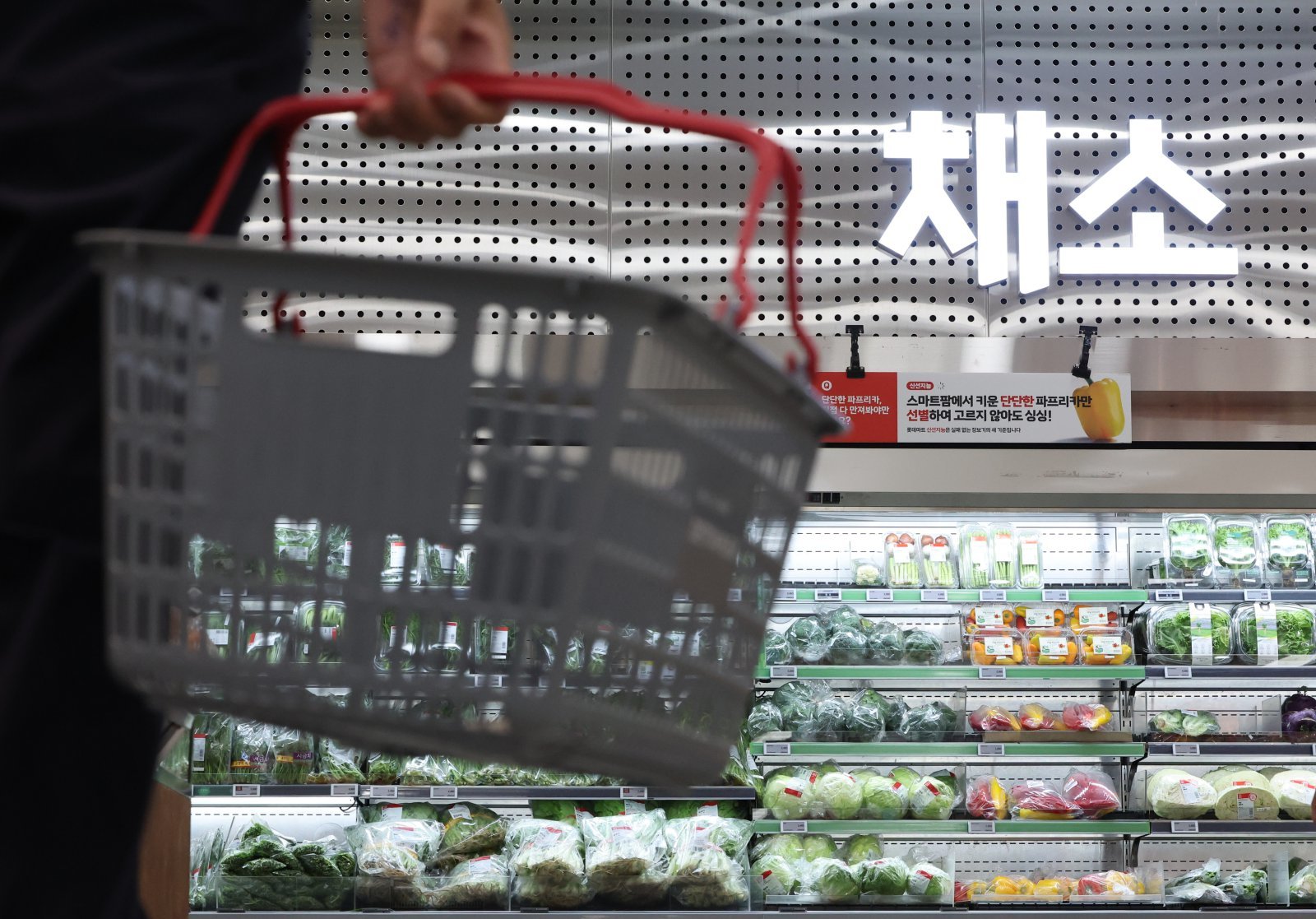 세계식량가격 1.5% 상승…곡물 5.1%·설탕 6.1% 뛰었다