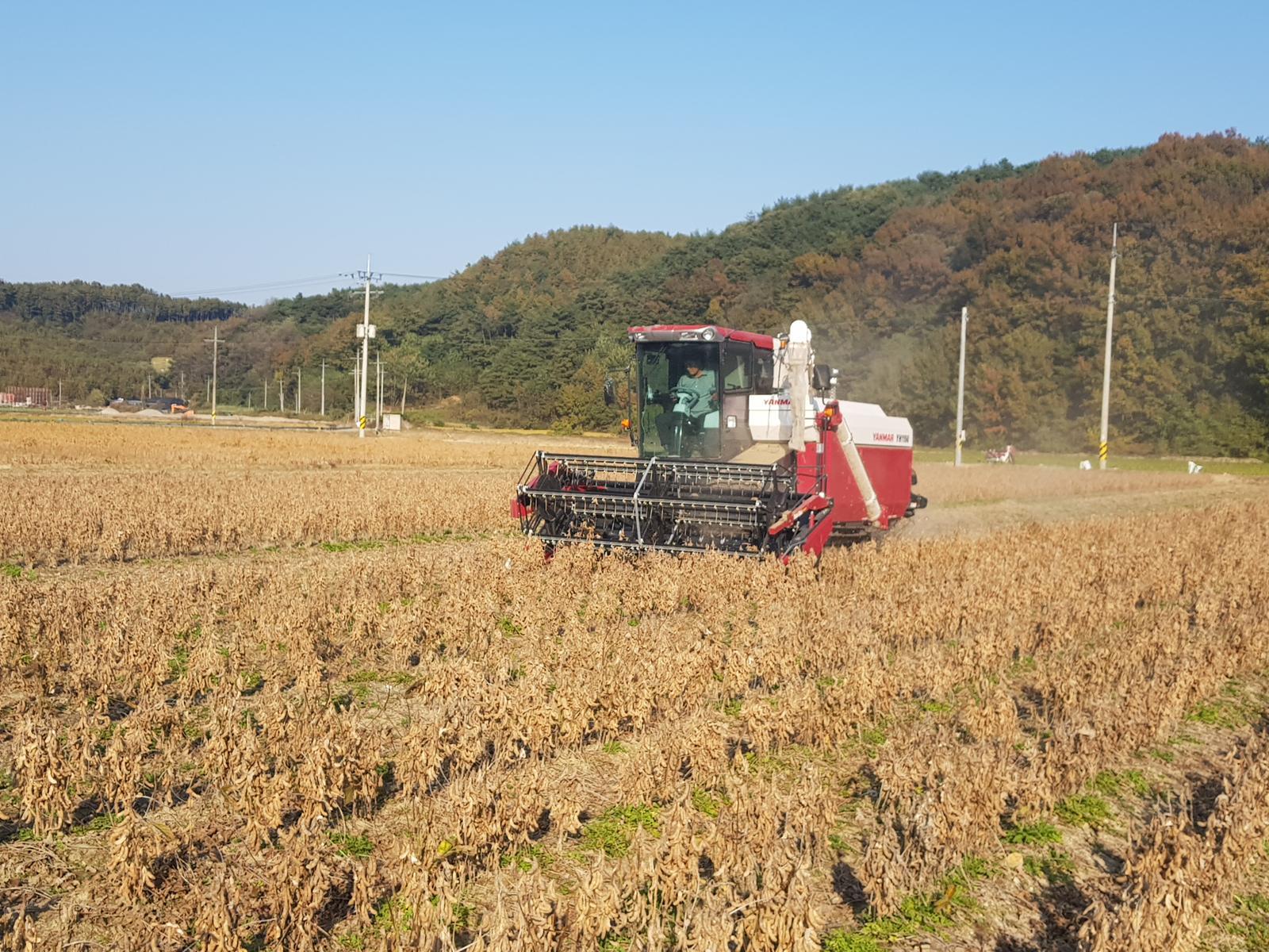 “관행 임대 농지, 농지은행에 맡기세요” 했지만…매입 대기 농지만 3220ha