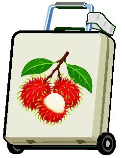 Illegal fruit imports raise fears of pest spread in South Korea