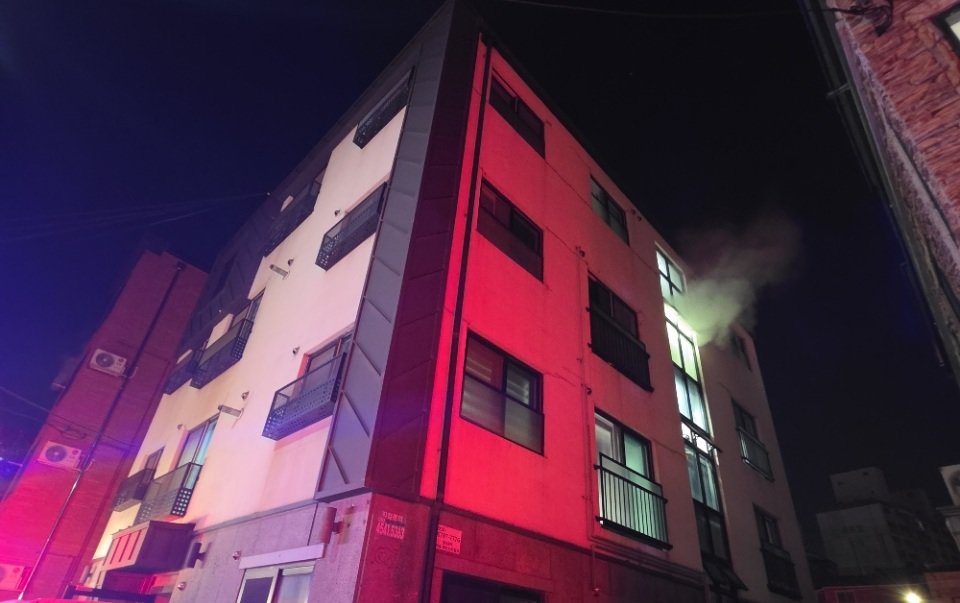 반려묘가 전기레인지 ‘꾹꾹이’…대전 다가구주택서 화재