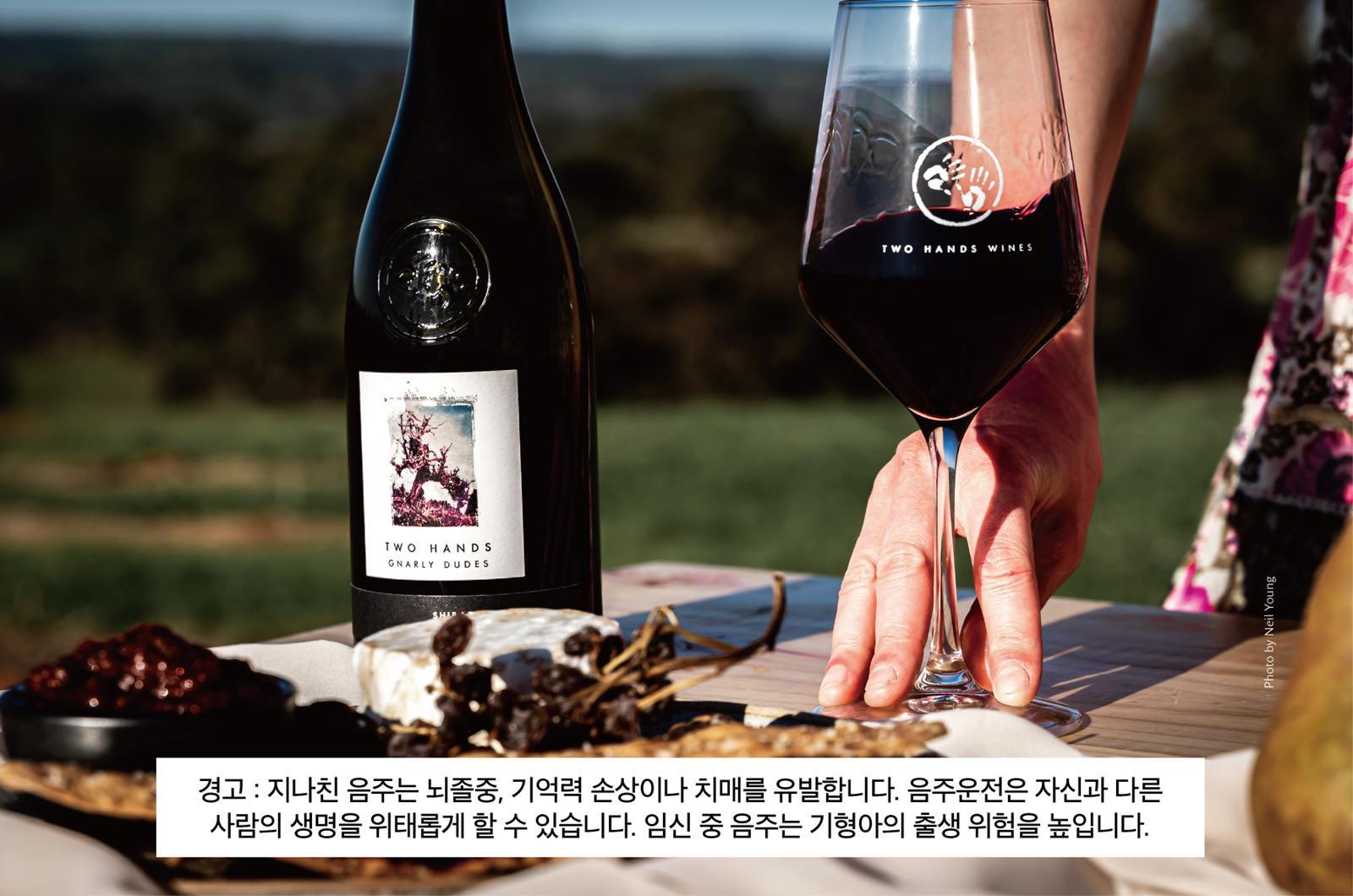 라벨은 자유롭게, 와인은 깐깐하게… 호주 와이너리 ‘투핸즈’의 두 얼굴