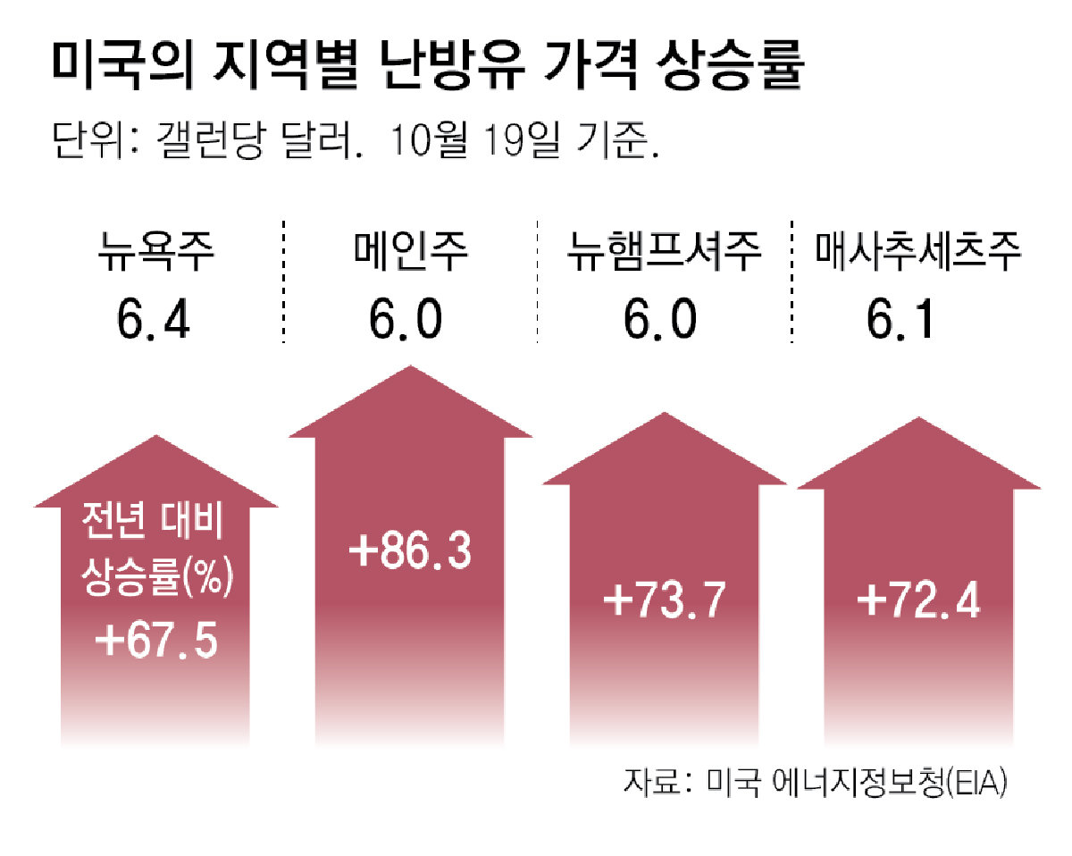치솟는 난방유 값에 美 일부선 장작 등장… 중간선거 ‘핫 이슈’로