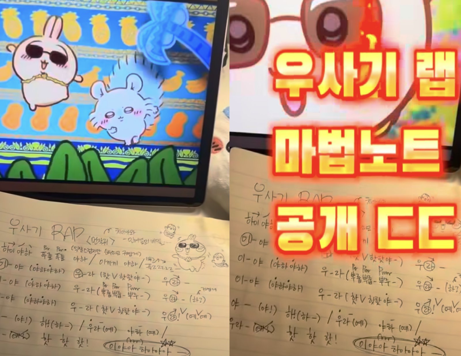 치이카와 인기에 랩 따라 부르기 열풍…SNS 달군 ‘우사기 랩’ 뭐길래