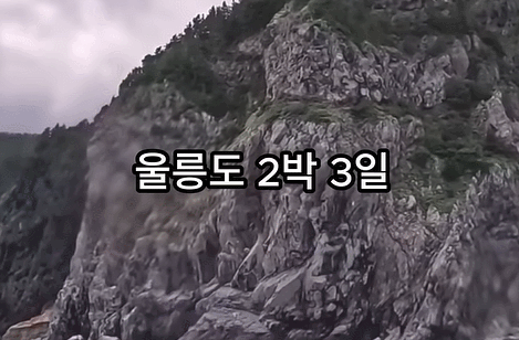 “여행 중 감금-강매” 유튜버 주장에…울릉군 “허위사실, 법적대응”