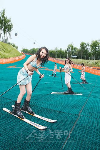 스릴 만점의 ‘알파인 코스터’