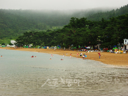 파도타기 재미가 쏠쏠한 전남 고흥 나로도해수욕장. 사진제공|한국관광공사