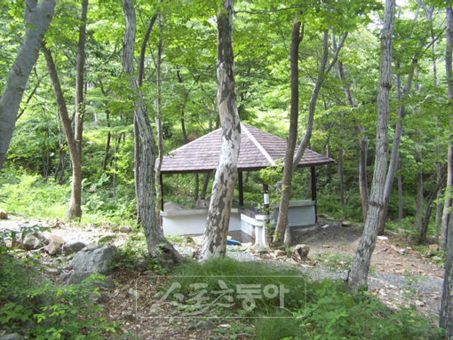 경남 거제시 노자산에 위치한 거제자연휴양림. 사진출처ㅣ 거제자연휴양림 홈페이지