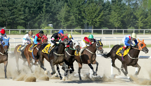 육상선수와 초등학생이 100m 달리기를 한다면 그 결과는 뻔하다. 베팅게임인 경마에서 결과가 뻔하다면 경기가 성립될 수 없다. 그래서 경마는 말에게 부담중량을 주어 박진감과 흥미를 유발시킨다. 일종의 기회균등 정책이다.사진제공|한국마사회