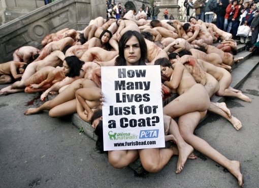 동물보호단체인 페타 회원 수십 명이 2007년 1월 21일 스페인 바르셀로나에서 모피를 얻기 위한 동물 학살을 비난하며 집단
나체 시위를 벌이고 있다. 피켓에는 ‘단지 코트를 위해 얼마나 많은 생명이?’라고 적혀 있다. 바르셀로나=AP 연합뉴스