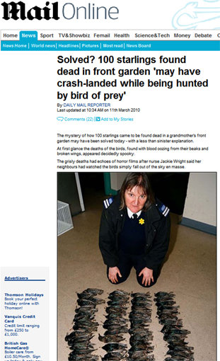 사진출처= 데일리메일 보도화면 캡처