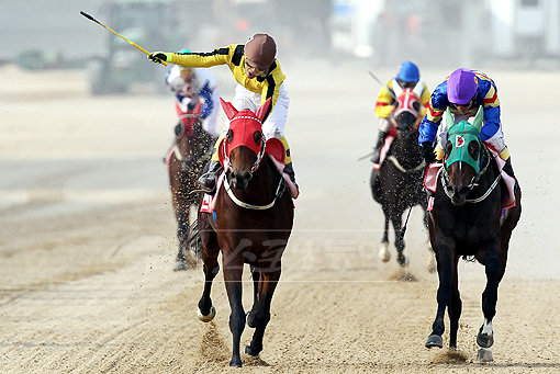 한국마사회의 부패영향평가 실시가 눈길을 모은다. 경주장 안에서는 공정한 경기, 경주장 밖에서는 부정부패 봉쇄로 깨끗한 이미지를 조성한다. 사진은 경주 모습. 사진제공 ｜ 한국마사회