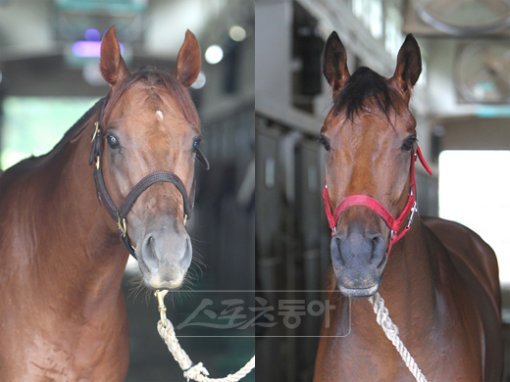 금강이-슈퍼제트.