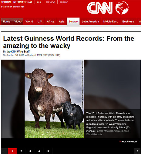 사진출처= CNN 보도화면 캡처