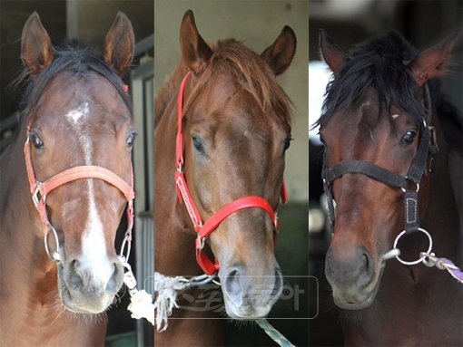 더올마이티 요동제왕 슈퍼리치