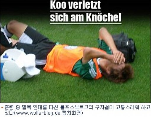 사진 | www.wolf-blog.de 화면 캡쳐