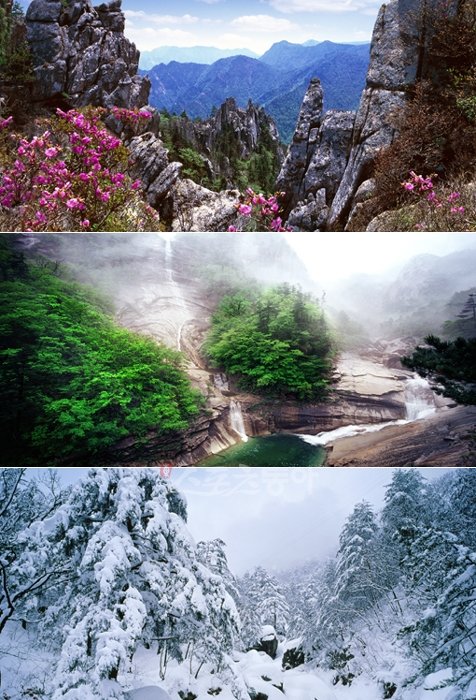예로부터 ‘천하제일의 산수’라는 찬사를 들어온 금강산의 변화무쌍한 절경. 맨 위 사진부터 금강산의 봄, 여름, 겨울 모습. 사진제공|채널A