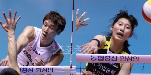 드림식스 최홍석(왼쪽)-기업은행 박정아(오른쪽). 스포츠동아DB