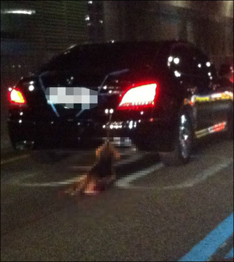 악마에쿠스 사건 수사착수