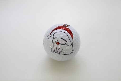 양수진 프로가 직접 그린 아트 마킹볼. 사진제공｜넵스