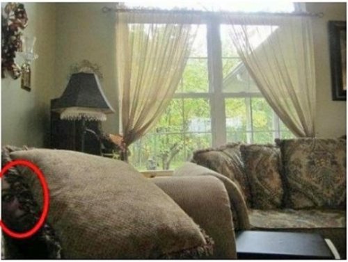 ‘이해하면 무서운 사진’