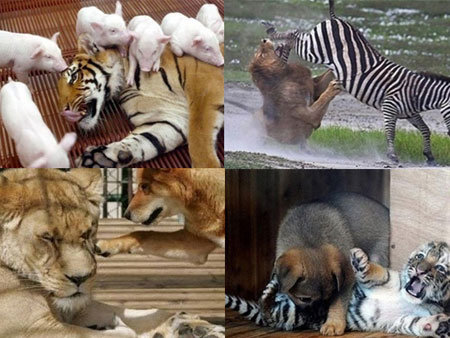 ▲강자 약자 바뀐 예