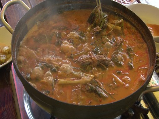 개고기의 성분을 분석해 건강에 미치는 영향을 밝히는 ‘논리로 풀다’의 한 장면. 사진제공|채널A