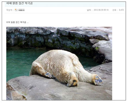 ▲어제 필름 끊긴 북극곰