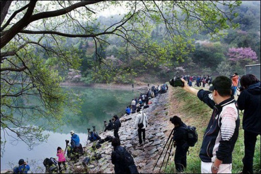 삼각대 필요 없는 사진사
