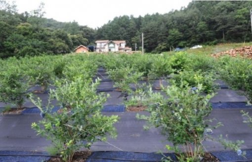 귀농 인구 급증