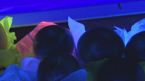 사진제공｜채널A