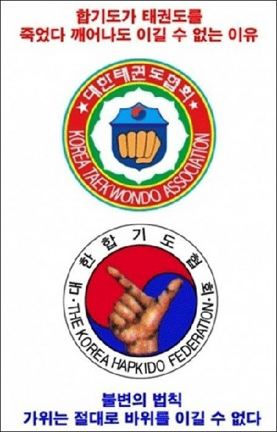 ‘태권도가 합기도 이기는 이유’ 화제
