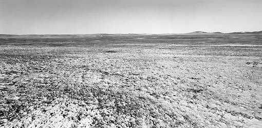 북만주 벌판 전경