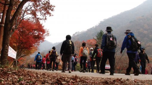 ‘관찰카메라 24시간’이 내장산 단풍 관광에 나선 관광객, 등반객과 함께 하며 가을 정취에 흠뻑 빠진다. 사진제공｜채널A