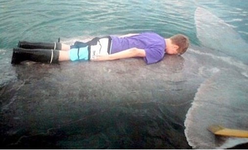 고래 위에서 잠자기