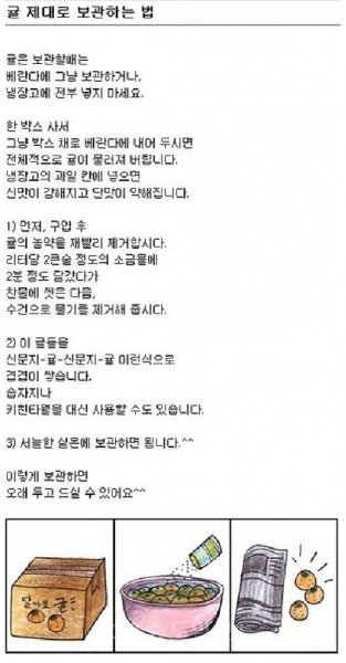 ‘귤 제대로 보관하는 법’ 사진=인터넷 커뮤니티