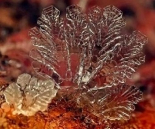 '눈 초근접 사진' 사진=인터넷 커뮤니티