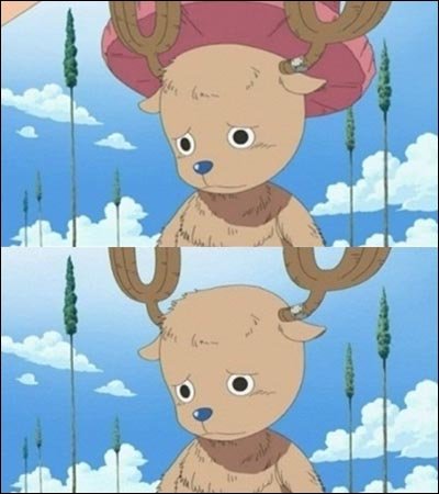 모자 벗은 쵸파