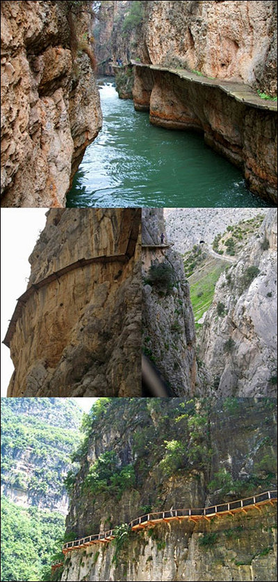 세상에서 가장 이상한 길