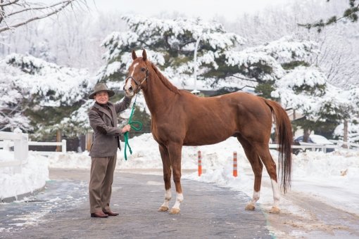 씨수말이 되기 위해 17일 은퇴를 앞둔 ‘동반의강자’와 김양선 조교사가 서울경마공원에서 마지막 기념촬영을 하고 있다. 사진제공｜한국마사회