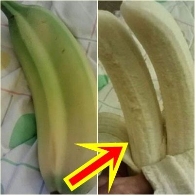 쌍쌍 바나나. 사진=온라인커뮤니티