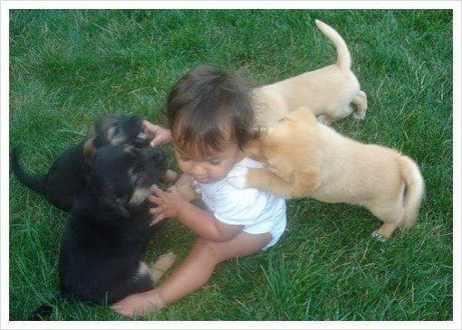 목덜미 가려운 아기