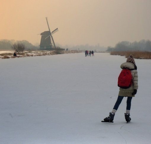 ‘네덜란드의 등굣길’ 사진=인터넷 커뮤니티