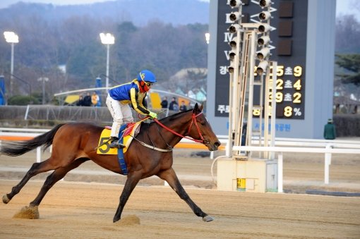 폭발적인 추입이 역시 한국경마의 신흥 강호다운 레이스였다. ‘지금이순간’이 24일 제11경주에서 열린 스포츠동아배에서 막판 폭발적인 스피드를 앞세워 우승을 차지했다. 사진제공|한국마사회