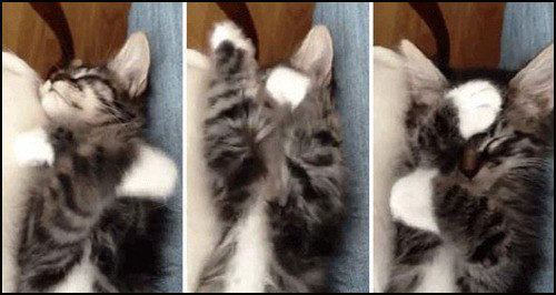 ▲ 이별 후 잘 때 모습