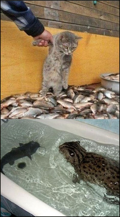 ▲ 참기 힘든 고문