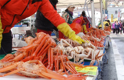 제철 맞은 영덕 대게를 맛보려는 사람들이 경북 영덕군 강구항으로 발걸음을 옮긴다. 사진제공|채널A