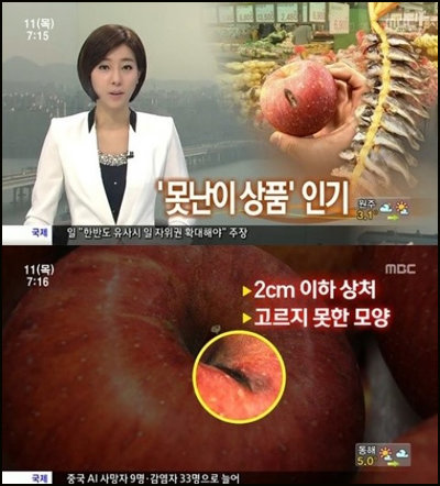 흠집난 사과 인기