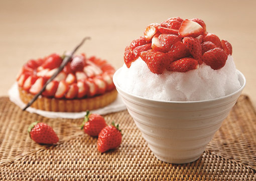 아티제 ‘네쥬소르베 스트로베리’