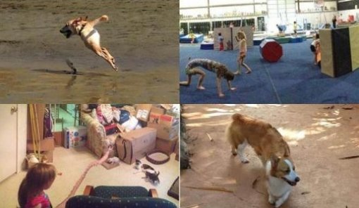 파노라마 사진 공포 효과