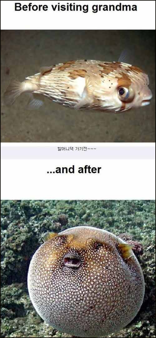 할머니 댁 방문 전후